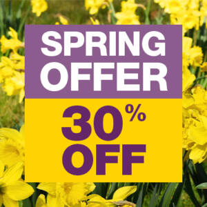 Spring Offer! 30% OFF First Aid Courses